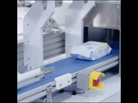 Wet Toilet Wipes (40 PCS)