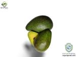 Safqa Fresh and Organic Avocado