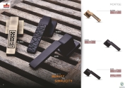 Zorro Mortise Handle All Finish