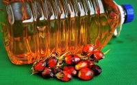 Crude Palm Oil, Palm Kernel Oil and Refined Palm Oil