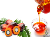 Crude Palm Oil, Palm Kernel Oil and Refined Palm Oil