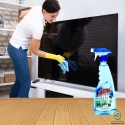 Heena Disinfectant Glass Cleaner Liquid 500 ML