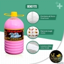 Heena Disinfectant Perfumed Floor Cleaner Phenyl 5 L - Rose(Pink)