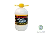 Heena Disinfectant Perfumed Floor Cleaner Phenyl 5 L - Pine(White)