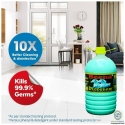 Heena Disinfectant Perfumed Floor Cleaner Phenyl 5 L-Citronella(Green)