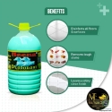 Heena Disinfectant Perfumed Floor Cleaner Phenyl 5 L-Citronella(Green)