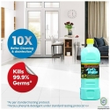 Heena Disinfectant Perfumed Floor Cleaner Phenyl 1 L-Citronella(Green)