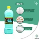 Heena Disinfectant Perfumed Floor Cleaner Phenyl 1 L-Citronella(Green)