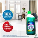 Heena Disinfectant Perfumed Surface,Floor Cleaner500ML-Lavender(Green)