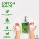 Heena Germ Protection Liquid Hand Wash 500 ML