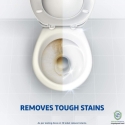 Heena Disinfectant Toilet Cleaner Liquid 250 ML