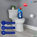 Heena Disinfectant Toilet Cleaner Liquid 250 ML
