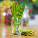Grass Drinking Straws