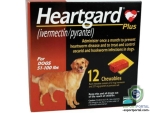 Heartgard