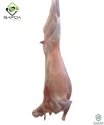 Safqa Fresh Organic Halal Chilled Goat Meat