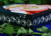 Jewellery Box - Amra Vati