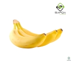 Safqa Fresh Organic Banana