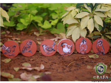 Terracotta Coasters - Tweet