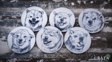 Blue Pottery Coasters for Home Decor - Barry Bear (Set of 6)