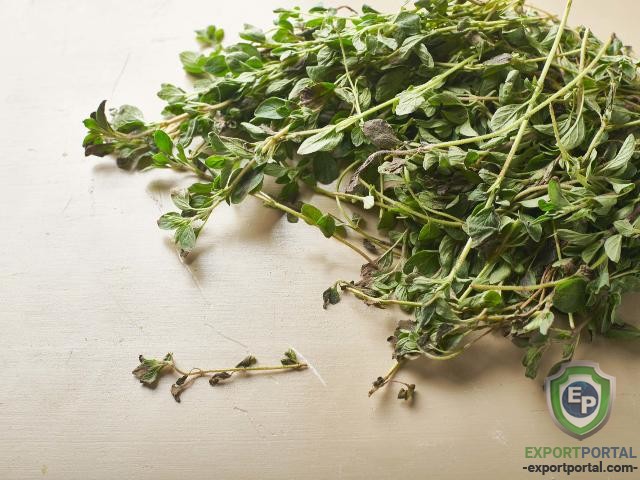 Dried Oregano