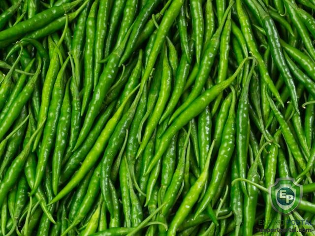CHILLI