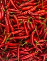 CHILLI