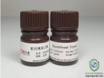 Recombiant Trypsin (Cell Culture Grade)