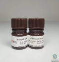 Recombiant Trypsin (Cell Culture Grade)