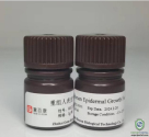 Recombinant Huamn Epidermal Growth Factor (EGF)