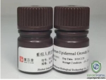 Recombinant Huamn Epidermal Growth Factor (EGF)
