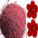 Hibiscus Extract Powder