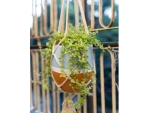Clay Hanging Garden Planter Table Planter