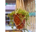 Terracotta Balcony Garden Planter Indoor Planter
