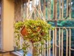 Natural River-Clay Balcony Garden Planter