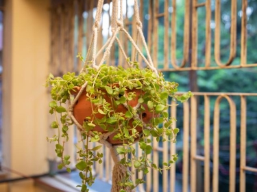 Natural River-Clay Balcony Garden Planter