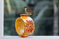 Wheel Throwing BirdFeeder and Home Stay