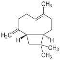 Beta Caryophyllene 95% - Van Aroma (CL-603)