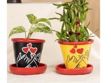 Valentine Painted Plantercreate elegant and rustic appeal