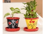 Terracotta Table top iNDOOR Planter for Valentine gifting