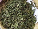 Good Quality Gymnema Leaves