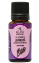 Essential oil of Lavender