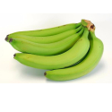 Cavendish Banana for Export