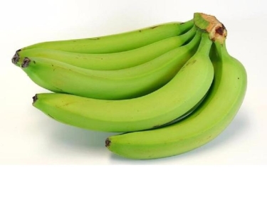 Cavendish Banana for Export