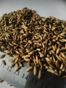We offer milk thistle seeds or oil on a long-term basis