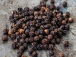Pepper Bold