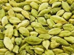 Cardamom (Size 7-8 mm)