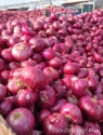 Red Onion
