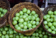 Amla fruit (Indian gooseberry)