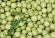 Amla fruit (Indian gooseberry)