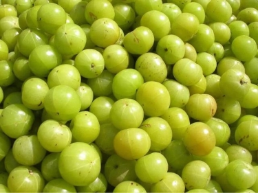 Amla fruit (Indian gooseberry)